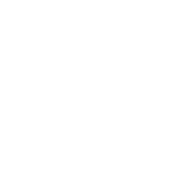 Регулируемая<br> яркость